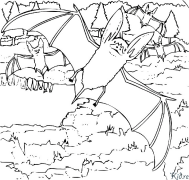 talpas Coloring Pages To Print